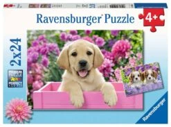 Harige Vriendjes – Puzzelbox Ravensburger 2 X 24 Stukjes